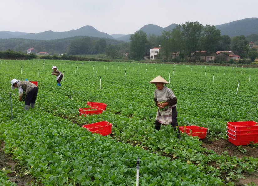 產(chǎn)品使用效果